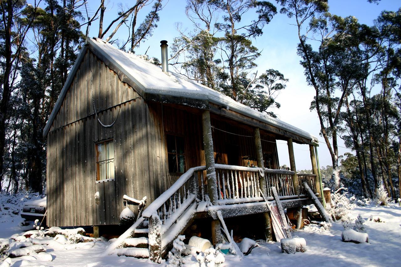 Wombat Cabin Villa Moina Exteriör bild