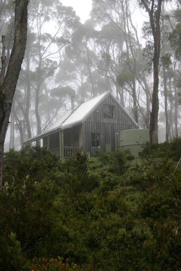 Wombat Cabin Villa Moina Exteriör bild