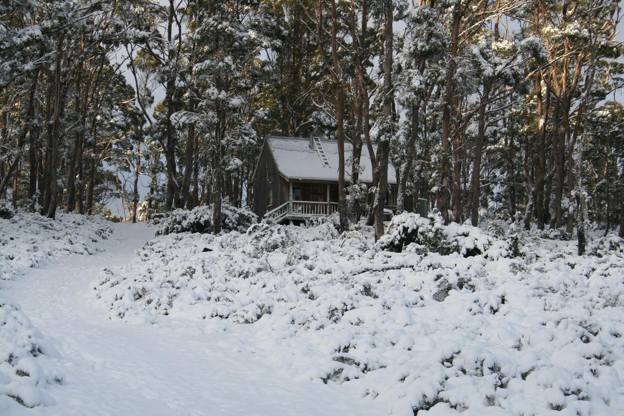Wombat Cabin Villa Moina Exteriör bild